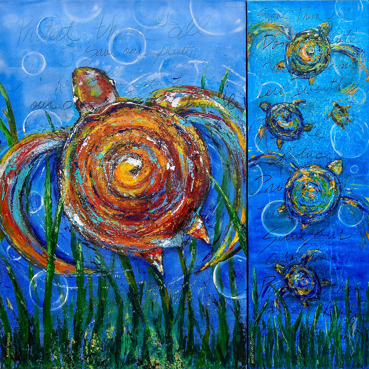 Life-in-a-Shell_s