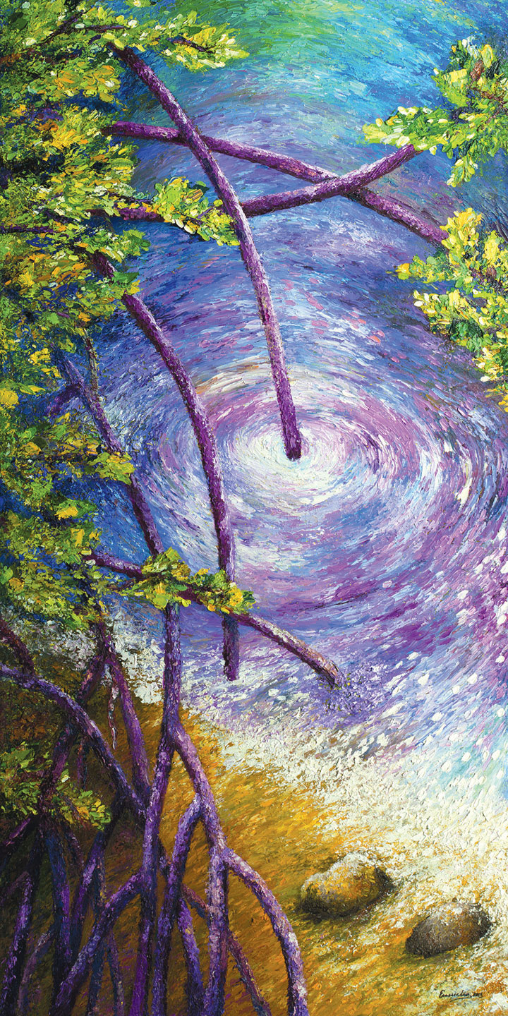 Mangrove-brochure05