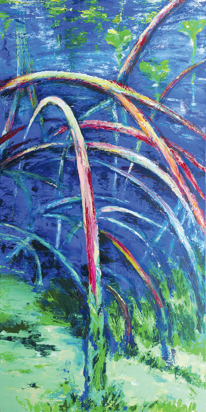 Mangrove-brochure06