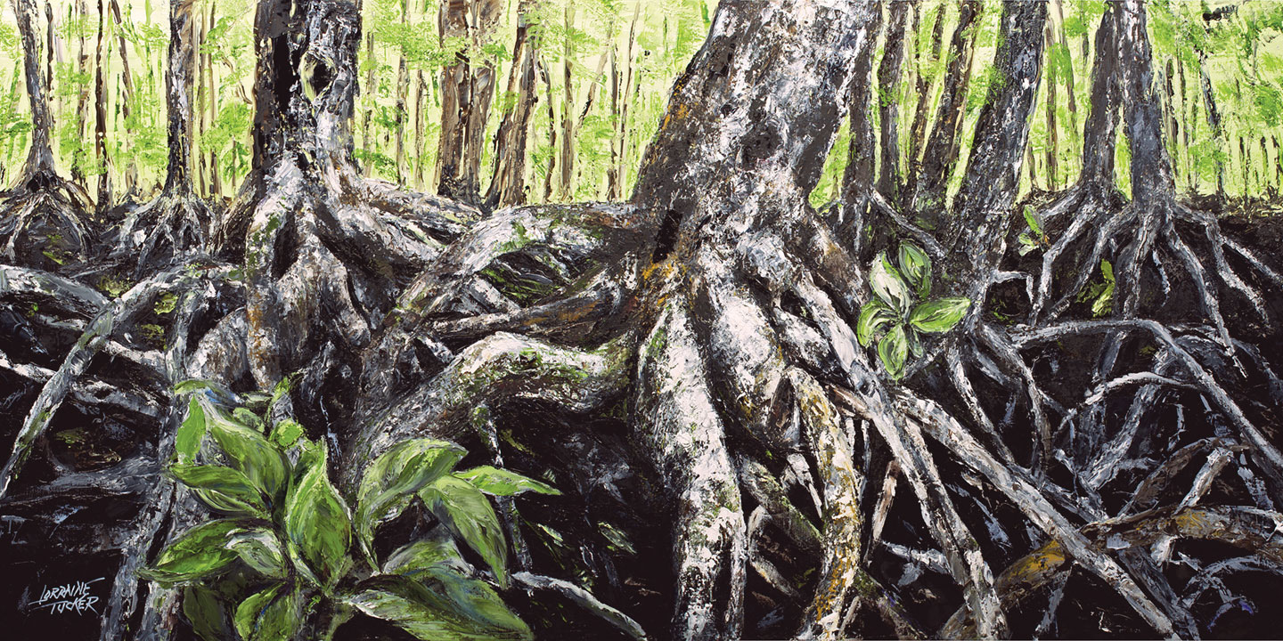 silent-sentinels_mangrove-brochure04