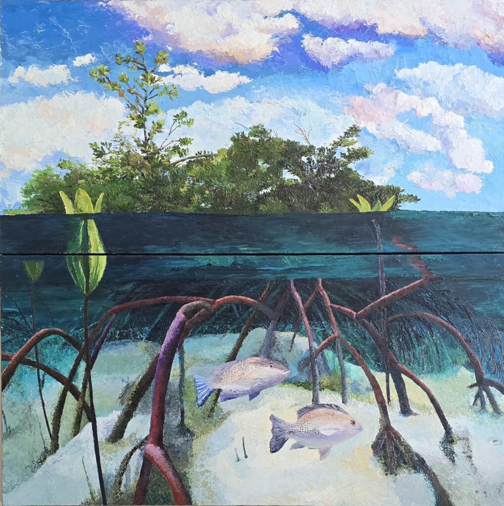 Mangrove at Low Tide